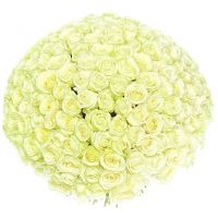 201 роза белая