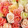 101 роза: персиковая, кремовая, белая