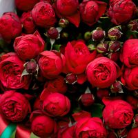 Пионовидные розы «Пиано» с оформлением