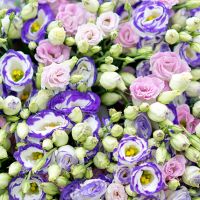 51 эустома в крафте с оформлением