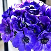 Фиолетовые анемоны в коробке Royal