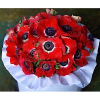 Красные анемоны в коробке Royal