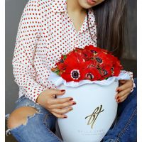 Красные анемоны в коробке Royal