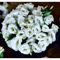 Белые эустомы в коробке Royal