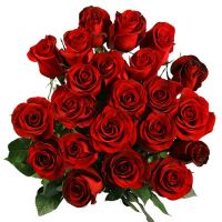 25 огромных роз 200 см