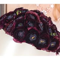 Сливовые ранункулюсы в коробке Medium