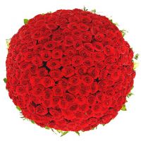 Корзина из 201 розы красной