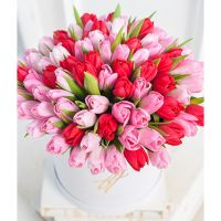 Розовые и красные тюльпаны в коробке Royal
