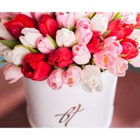 Ассорти из тюльпанов в коробке Royal