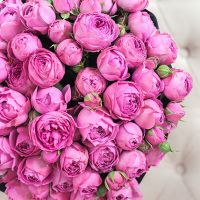 Фиолетовые пионовидные розы в коробке Royal