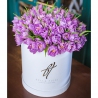 Фиолетовые тюльпаны в коробке Royal