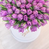 Фиолетовые тюльпаны в коробке Royal