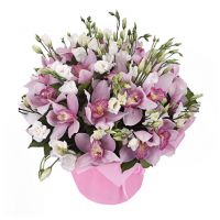 «Вивальди»