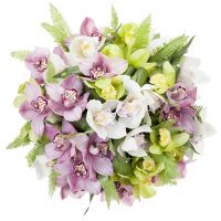 «Все ноты любви»