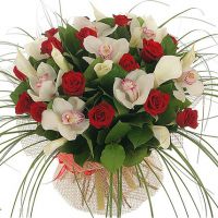 «Мелодия моей души»