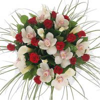 «Мелодия моей души»