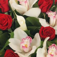 «Мелодия моей души»