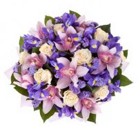 «Океан чувств»