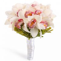 «На облаках»