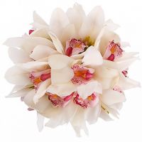 «На облаках»