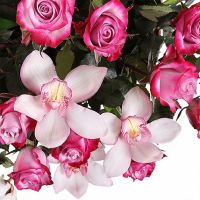 Корзина «Бабочки»