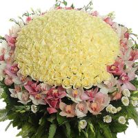 Композиция «В восторге от тебя»