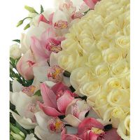 Композиция «В восторге от тебя»