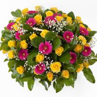 «Солнечный поцелуй»