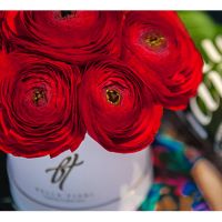 Красные ранункулюсы в коробке Baby