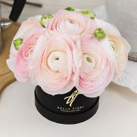 Нежно-розовые ранункулюсы в коробке Baby