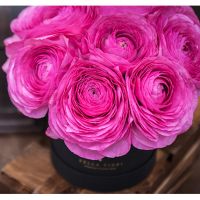 Розовые ранункулюсы в коробке Baby