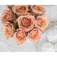 Розы «Капуччино» в коробке Baby