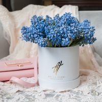 Голубые мускари в коробке Baby