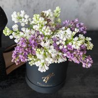 Белая и сиреневая сирень в коробке Baby