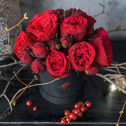Пионовидные розы «Ред Пиано» в коробке Baby