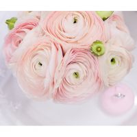 Нежно-розовые ранункулюсы в коробочке Baby