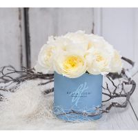 Белые душистые пионовидные розы в коробке Baby