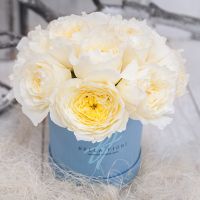 Белые душистые пионовидные розы в коробке Baby