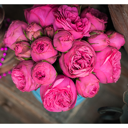 Розовые пионовидные розы в коробке Baby