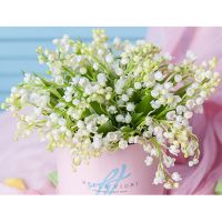Ландыши душистые в коробке Baby