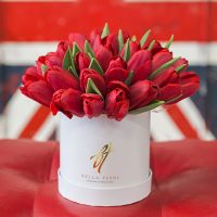 Красные тюльпаны в коробке Baby