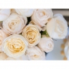Пионовидные розы кремовые в коробке Baby