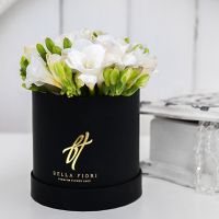 Белые ароматные фрезии в коробке Baby