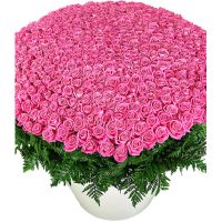 Композиция из 501 розовой розы «Аква»