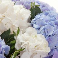 Букет «Над небом»