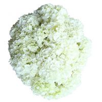 Букет «Хлопок»