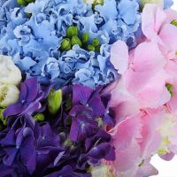 Букет «Художница»