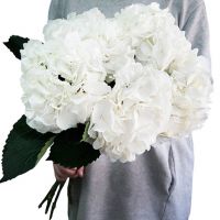 Букет из 5 белых гортензий