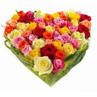 «Самой яркой»