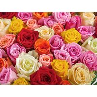 «Самой яркой»